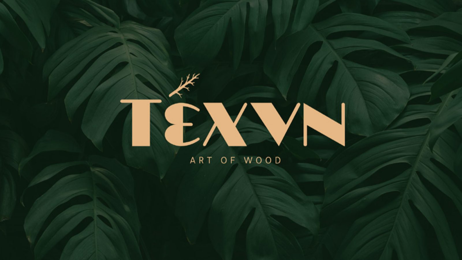 Texvn — 1
