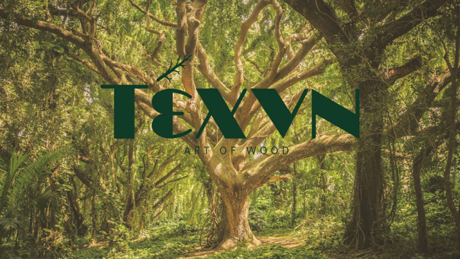Texvn — 2